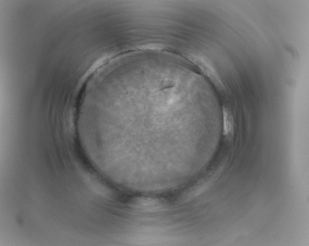 X0000115390300200911241251