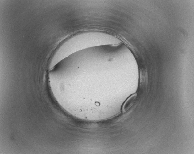 X0000115390301200911241251