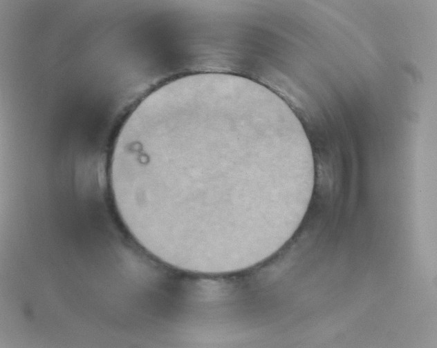 X0000115390302200911241251