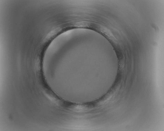 X0000115390303200911241251