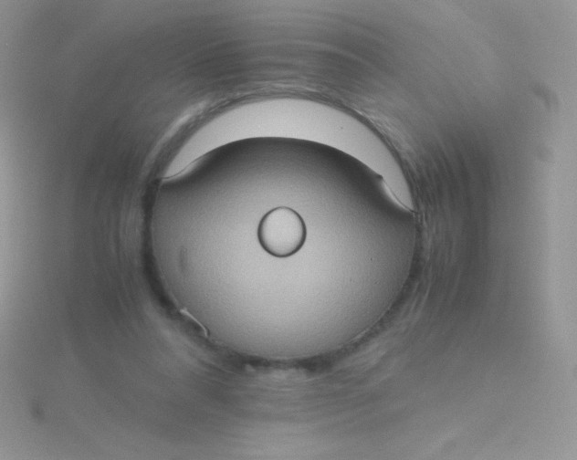 X0000115390304200911241251