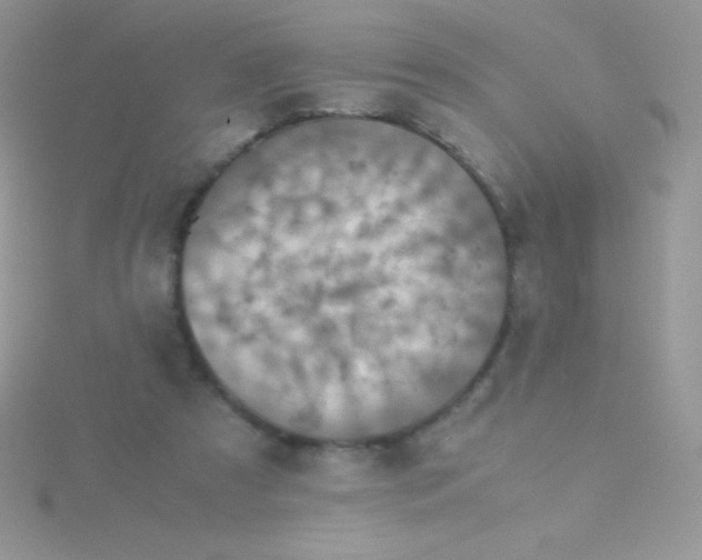 X0000115390305200911241251