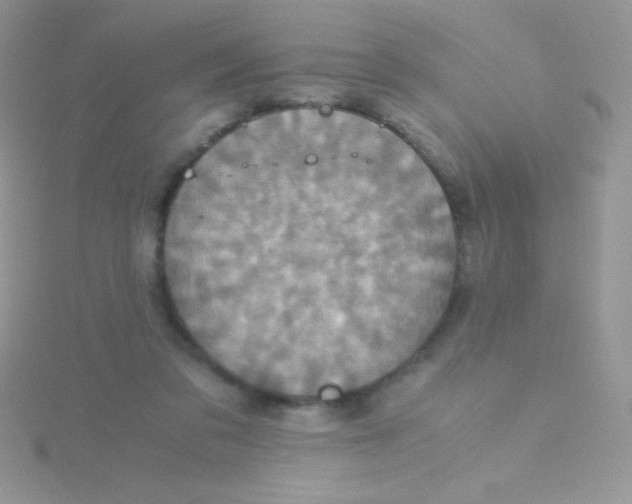 X0000115390309200911241251