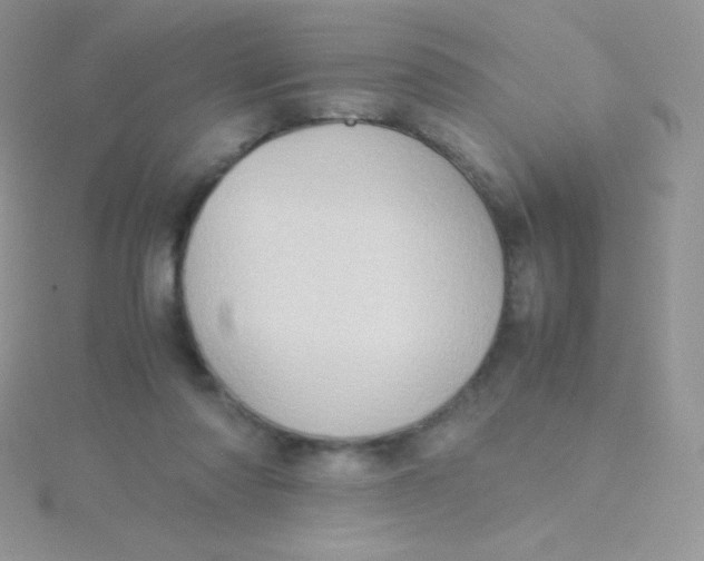 X0000115390310200911241251