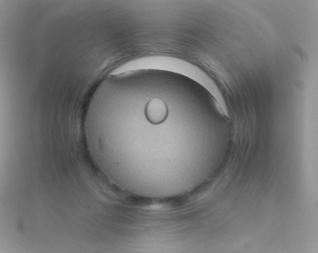 X0000115390312200911241251