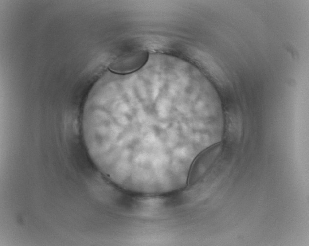 X0000115390313200911241251