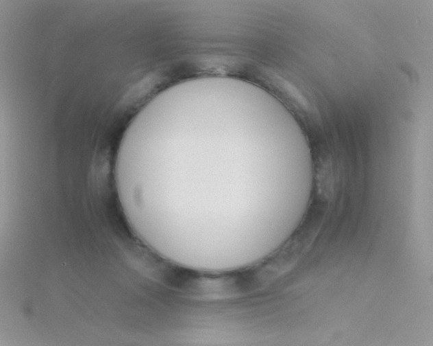 X0000115390314200911241251