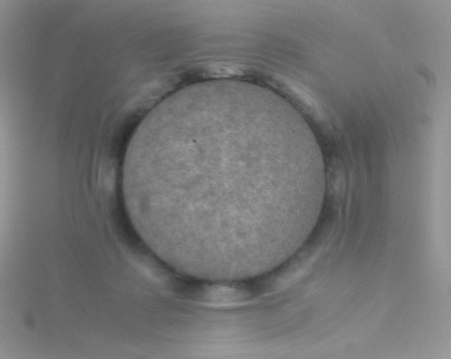 X0000115390315200911241251