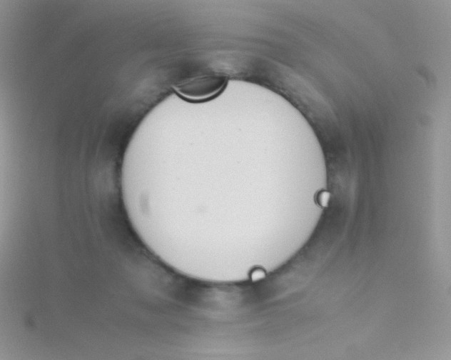 X0000115390317200911241251