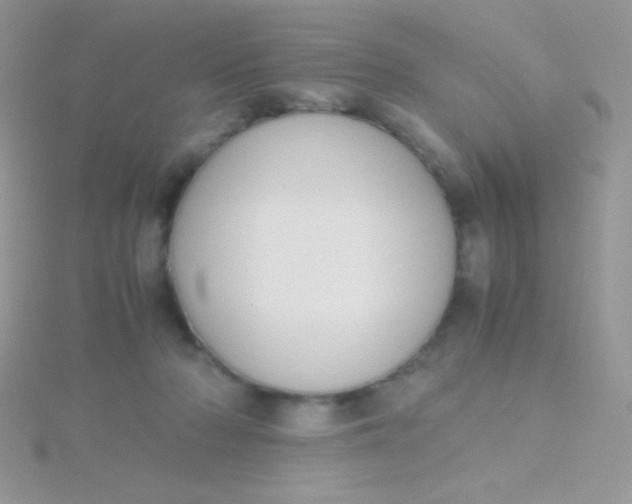 X0000115390318200911241251