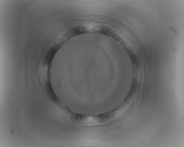 X0000115390319200911241251