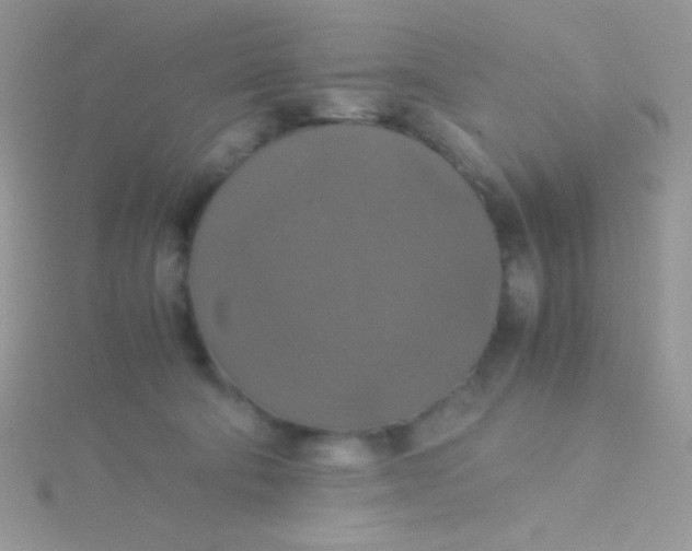 X0000115390322200911241251