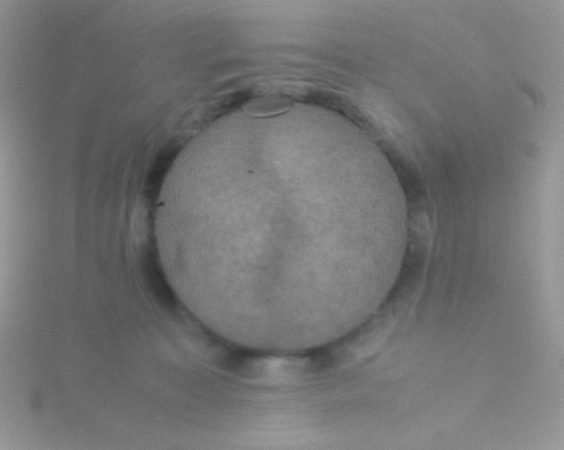 X0000115390323200911241251