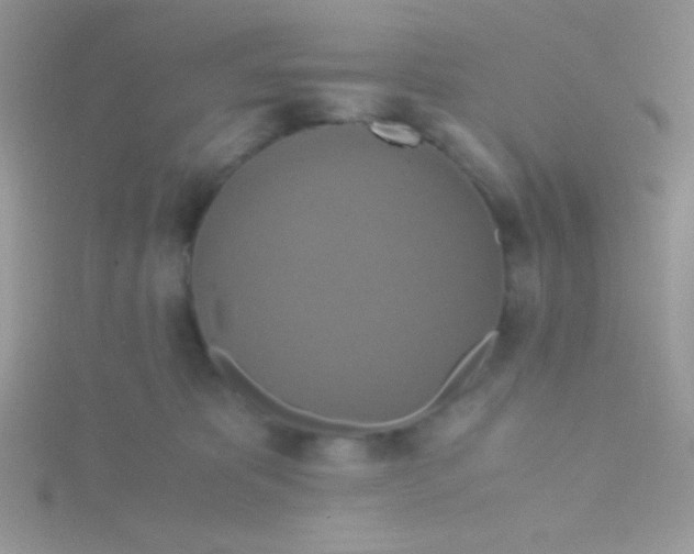 X0000115390325200911241251