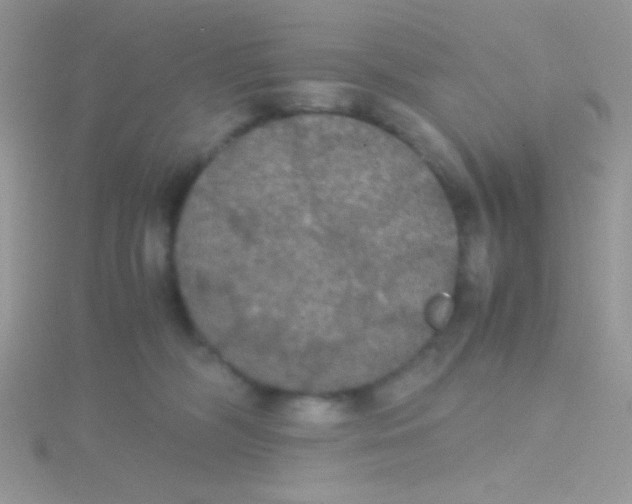 X0000115390326200911241251