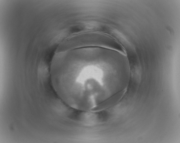 X0000115390327200911241251