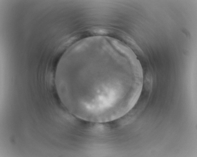 X0000115390330200911241251