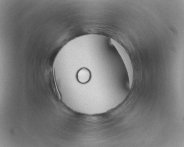 X0000115390332200911241251