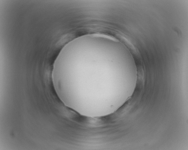 X0000115390333200911241251