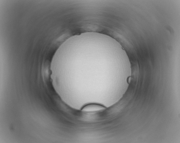 X0000115390334200911241251