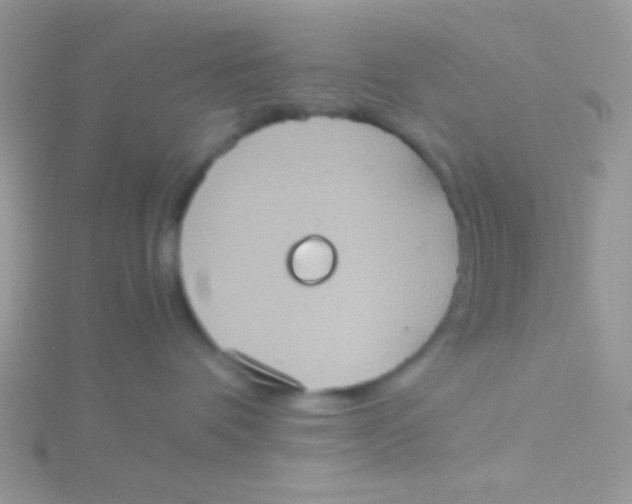 X0000115390336200911241251