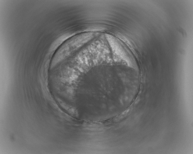 X0000115390337200911241250