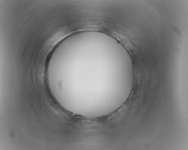 X0000115390338200911241250