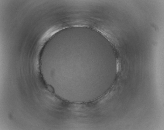 X0000115390339200911241250