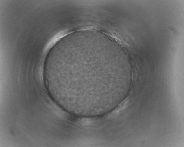 X0000115390341200911241250