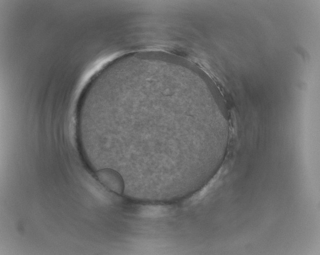 X0000115390342200911241250