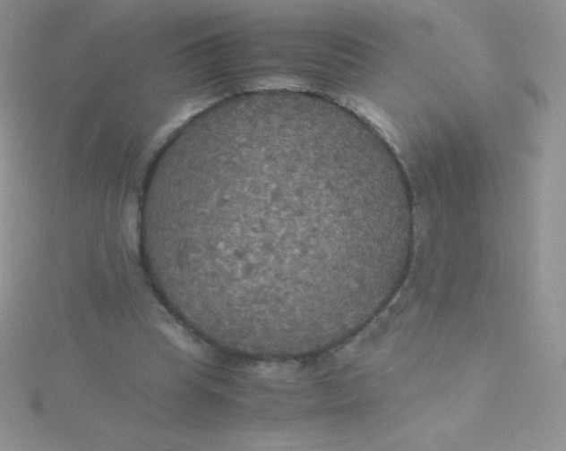 X0000115390345200911241250