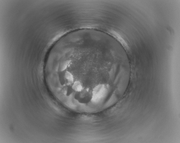 X0000115390346200911241250