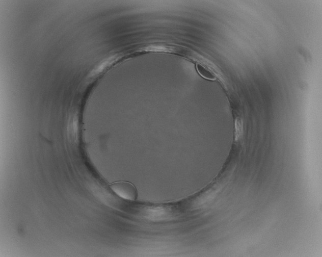 X0000115390349200911241250