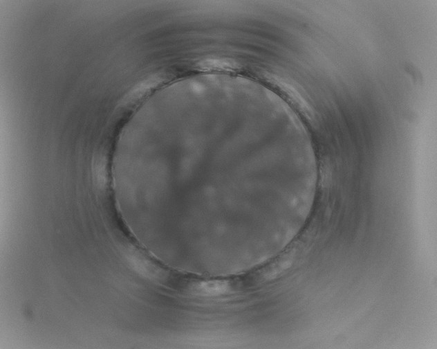 X0000115390353200911241251