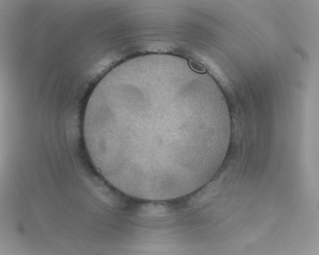 X0000115390354200911241251