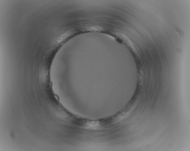 X0000115390355200911241251