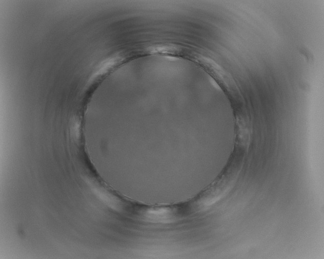 X0000115390357200911241251