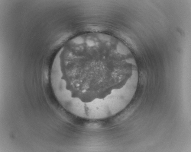 X0000115390358200911241251