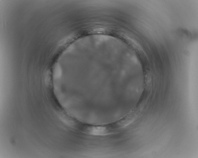 X0000115390361200911241251