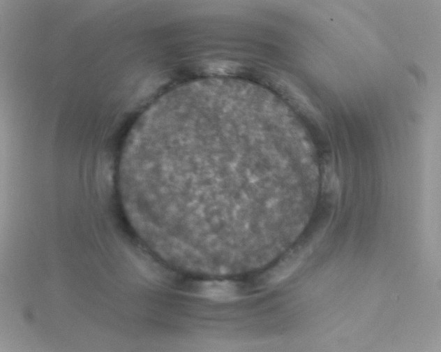 X0000115390363200911241251