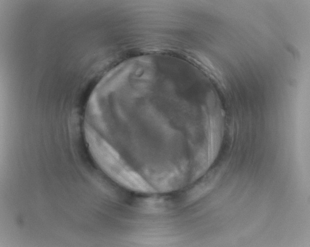 X0000115390366200911241251