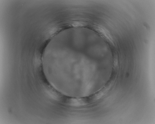 X0000115390367200911241251