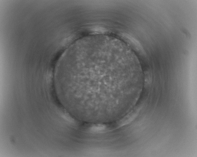 X0000115390369200911241251