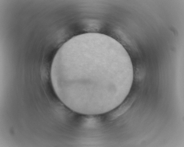 X0000115390370200911241251