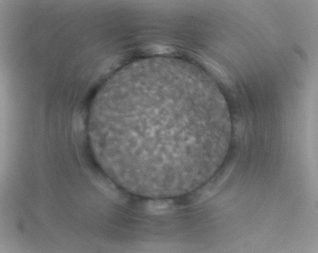 X0000115390373200911241251