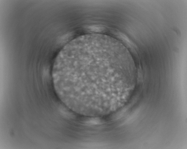 X0000115390377200911241251