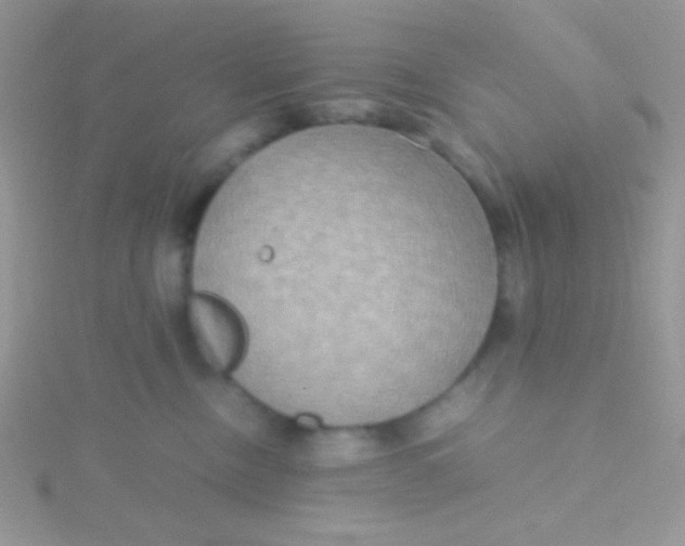 X0000115390378200911241251