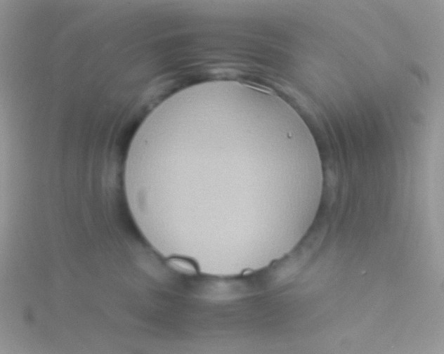 X0000115390379200911241251