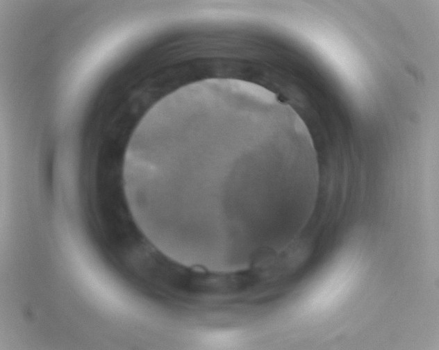 X0000115390383200911241251