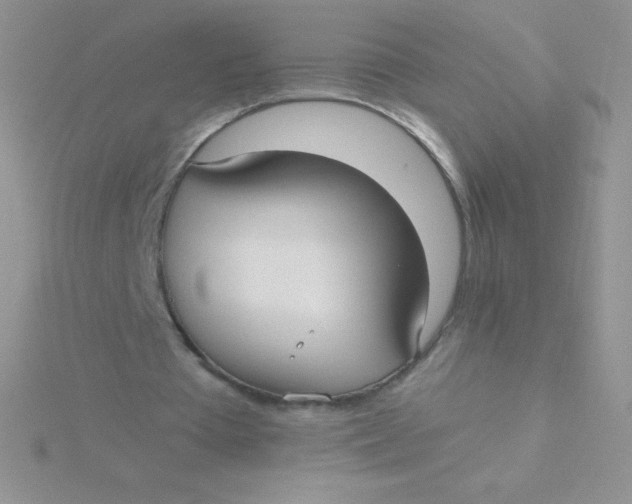 X0000115390385200911241250